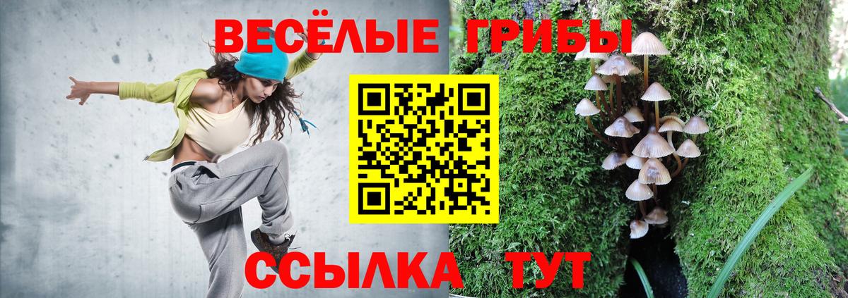 Галлюциногенные грибы MAGIC MUSHROOMS Коломна